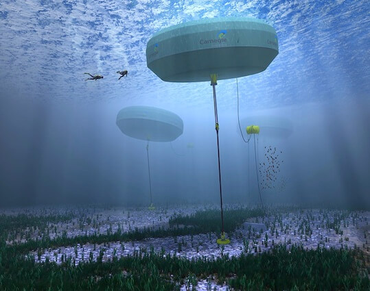 Albany Wave Energy project